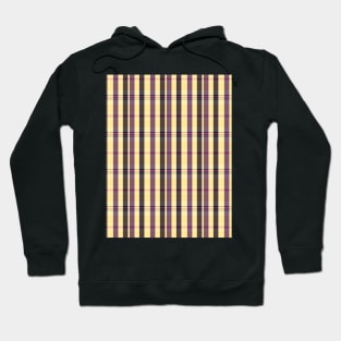 Sunset and Sunrise Aesthetic Artair 1 Hand Drawn Textured Plaid Pattern Hoodie